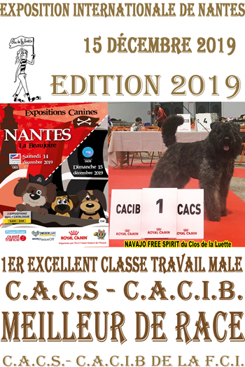 NAVAJO MEILLEUR DE RACE NANTES 2019 Copyright